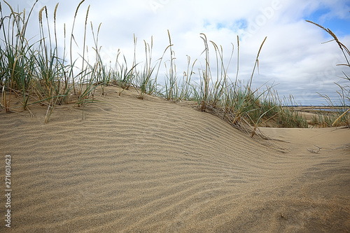 desert landscape / sand desert, no people, dune landscape