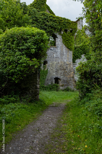 A view of the approach to the spectacular and magical ivy clad castle that has been left abandoned and to the forces of nature, nobody in the image