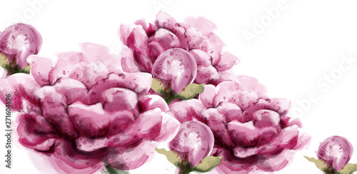 Roses watercolor Vector. Beautiful flowers card summer backgrounds