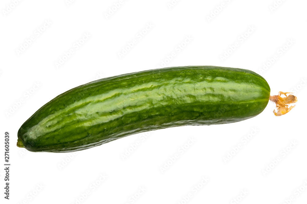 Single shiny dark green cucumber with flower Single shiny dark green cucumber with flower