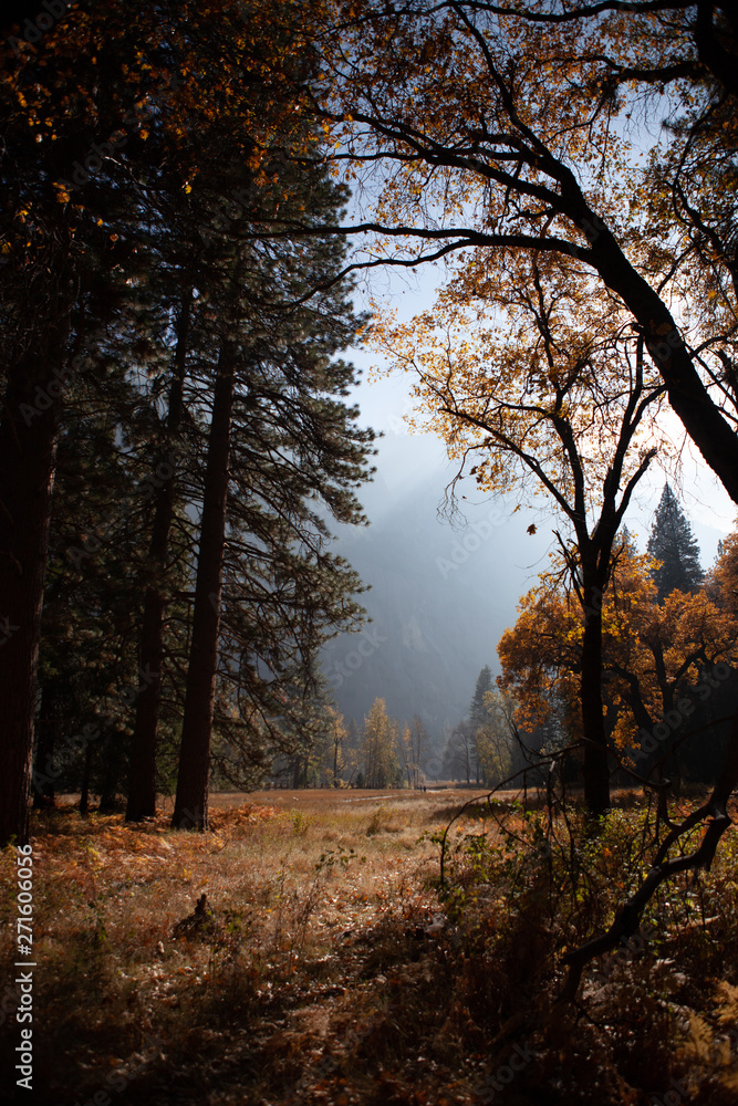 autumn in yosemite valley, california