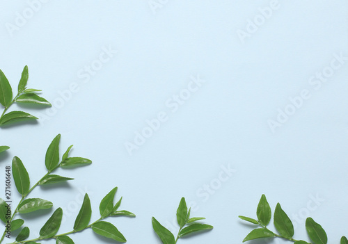 A branch with light green young leaves on textural blue paper. Spring background for design and decoration