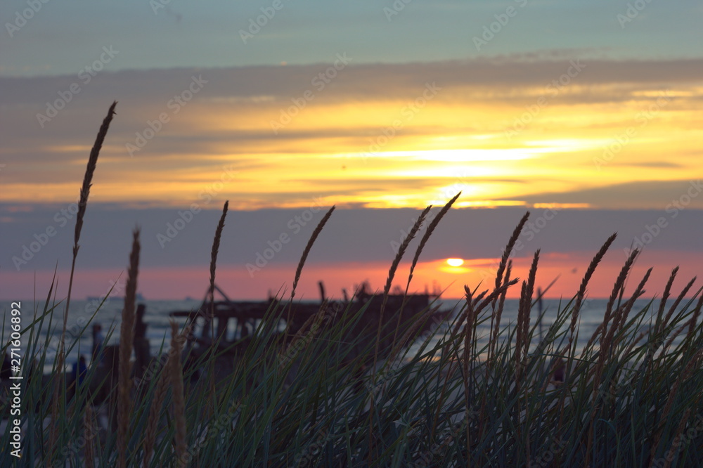 Calm sunset over the sea with grass in front