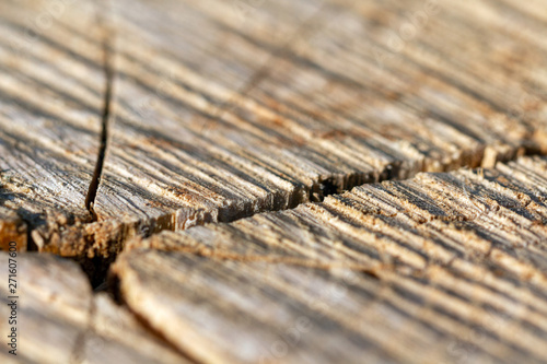 The texture of the wood with cracks.