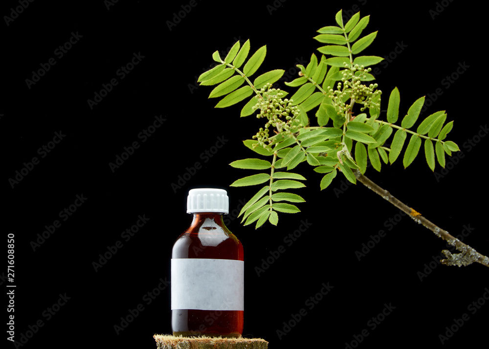 BEAUTIFUL BRANCH OF A MOUNTAIN ASH RED AND A BOTTLE OF MEDICINE ON DARK BACKGROUND