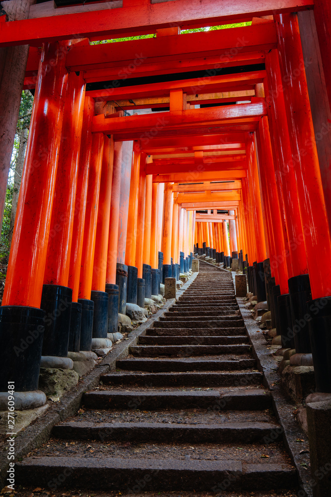 Fototapeta premium Fushimi Inari Shrine Kyoto Japan