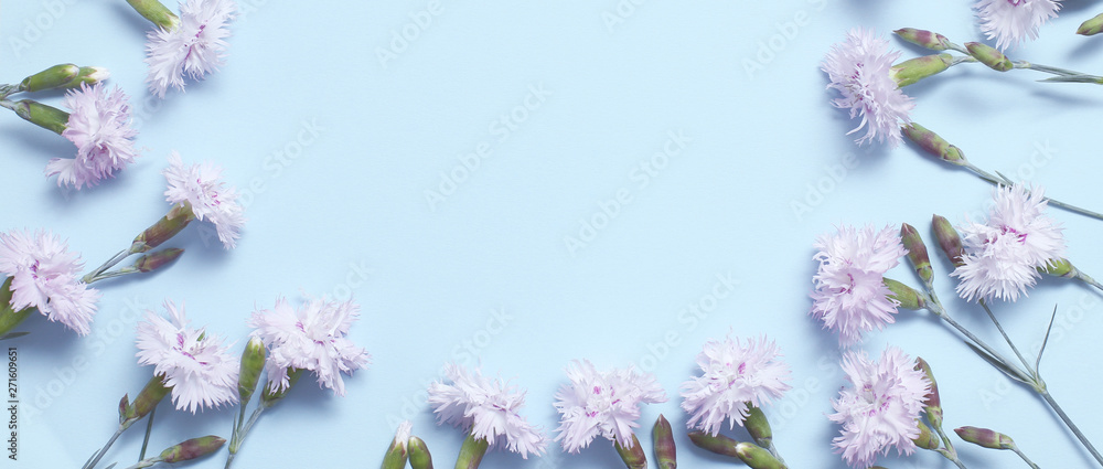 A branch with light pink carnations on textural blue paper. Spring background for design and decoration A branch with light pink carnations on textural blue paper. Spring background for design and decoration