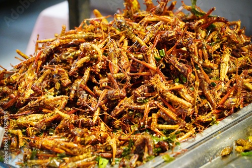 grilled insects
