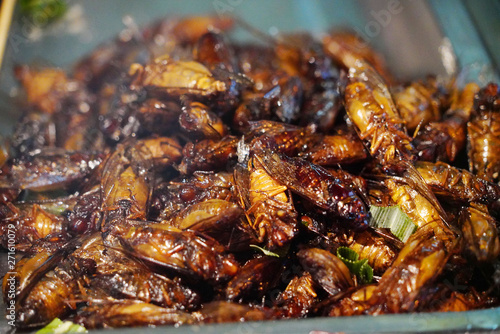 grilled insects