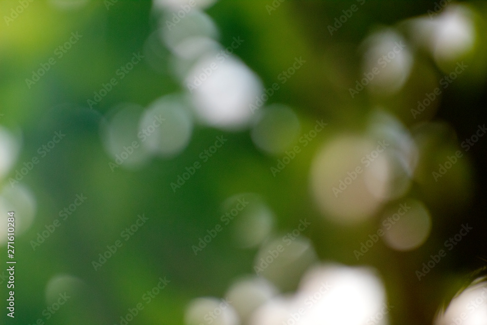 bokeh green background , abstract green background