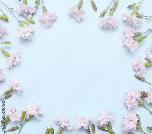 Fototapeta Naklejka Na Ścianę i Meble -  A branch with light pink carnations on textural blue paper. Spring background for design and decoration