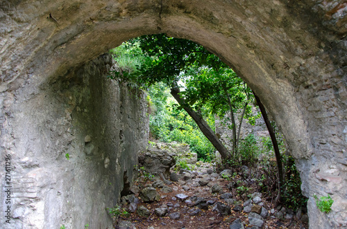 Fototapeta Naklejka Na Ścianę i Meble -  The ruins of the city of Olympos in Turkey	