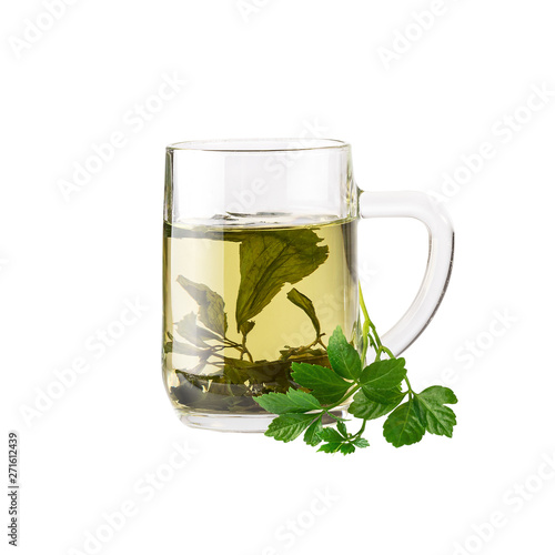 Chinese herb tea Jiaogulan Miracle grass. Image included clipping path