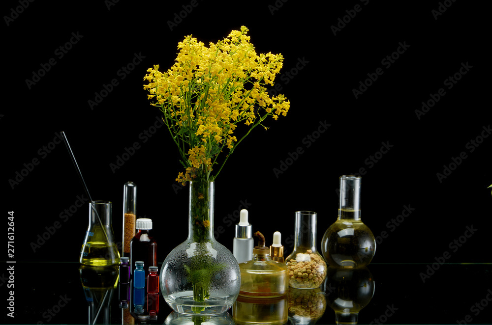 Fresh plant branches in medical flasks on black background