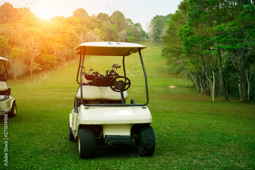Stampa su tela Golf cart on fairway in golf course.