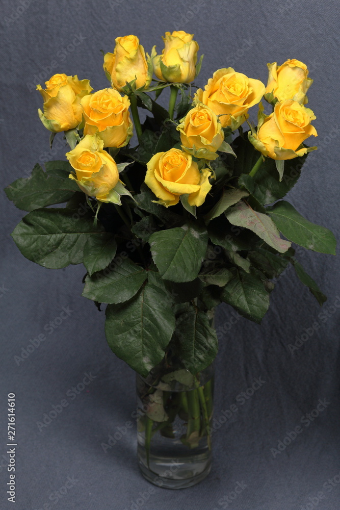 A large bouquet of yellow roses in a glass vase. On a gray background. A large bouquet of yellow roses in a glass vase. On a gray background.