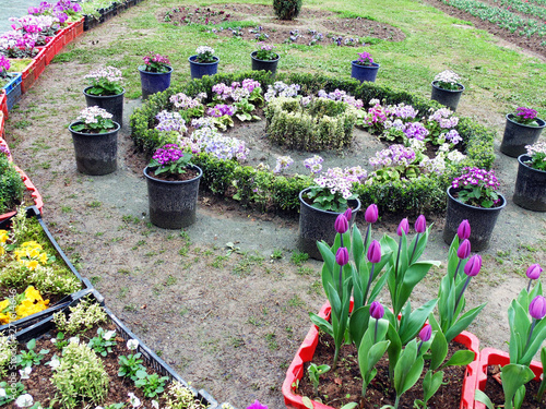 Fototapeta Naklejka Na Ścianę i Meble -  Decorated flower combination