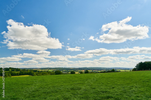 Gr  ne Wiese im Sommer in Frankreich