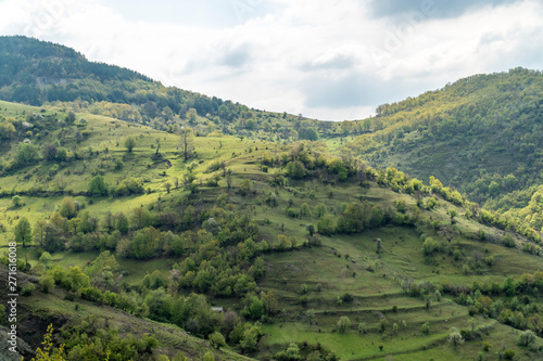 Fototapeta Naklejka Na Ścianę i Meble -  The wild nature of Rhodope mountain in Bulgaria