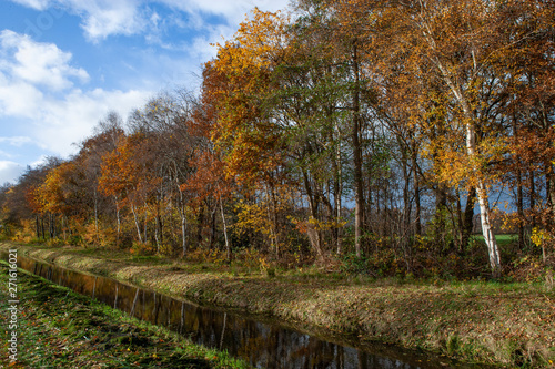 Autumn colors. Fall. Netherlands