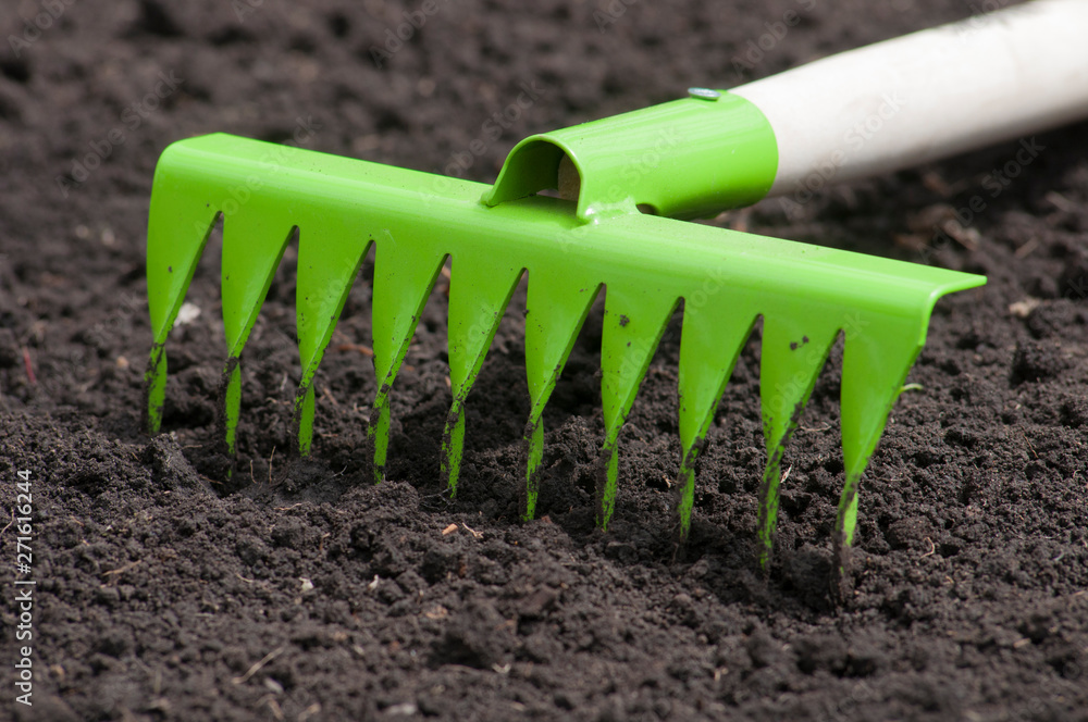 small green garden rake on the black earth