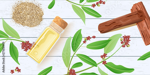 Sandalwood essential oil in glass scent bottle with cork on white wooden shabby desk. Chandan leaves, sticks,