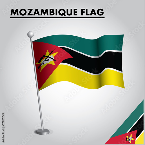 National flag of MOZAMBIQUE on a pole