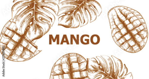 Mango vector line art. Tropic fruit summer pattern. Vintage styles