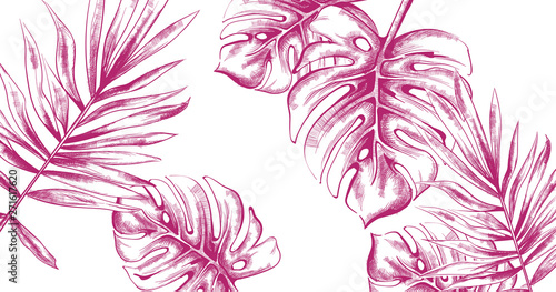 Palm leaves. Tropic fsummer background Vector line art. Vintage styles