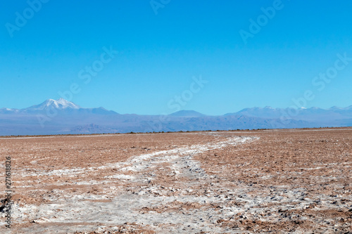 Desert road in Atacama  Chile   background with copy space for text