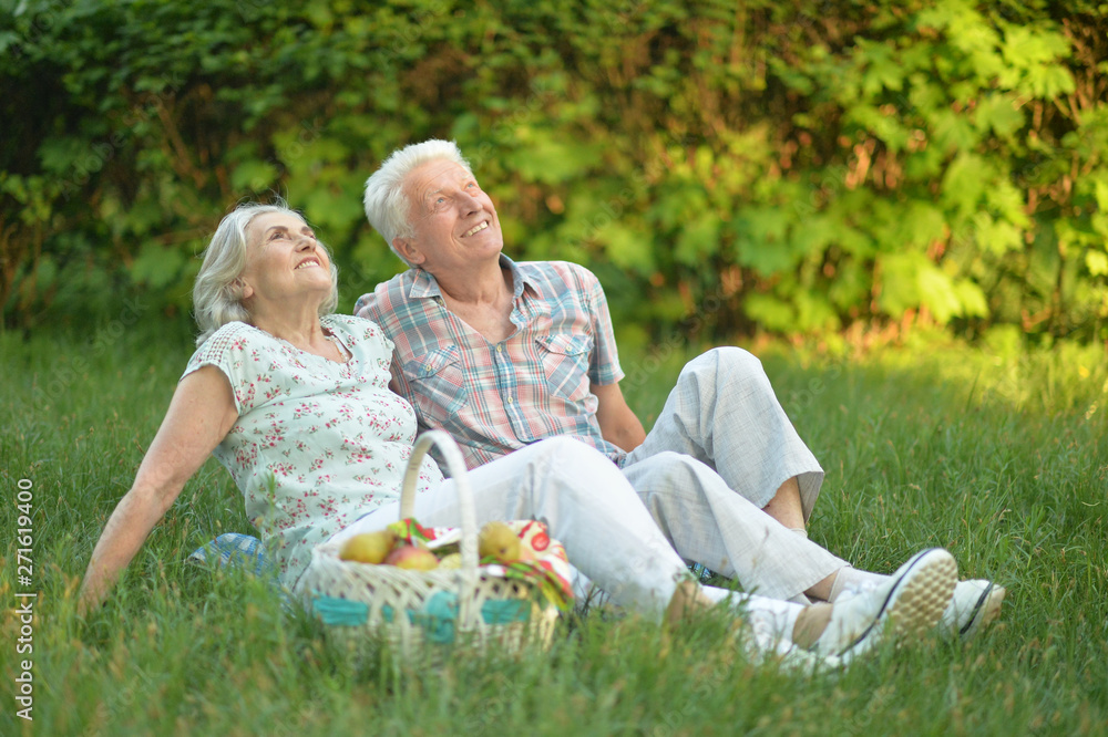 Fototapeta premium Portrait of loving elderly couple having a picnic