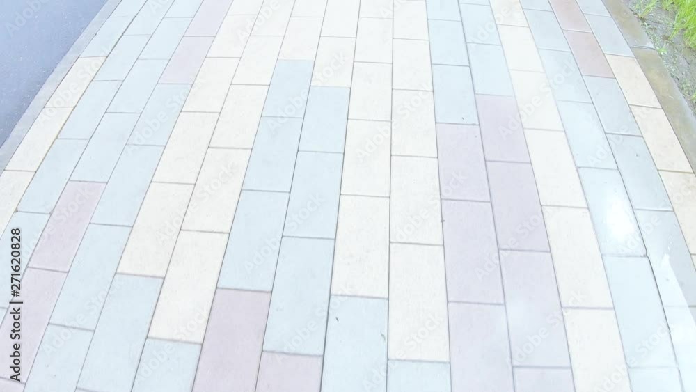 Paving slabs and footpath after rain Paving slabs and footpath after rain
