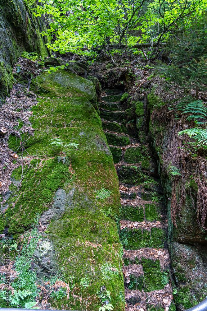 old stone stairway in saxon switzerland, germany old stone stairway in saxon switzerland, germany