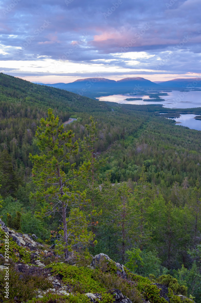 Fototapeta premium Aerial view of Colorful sunset landscape on the coast of the North Sea. Karelian pine on the rocks on the shore of the White Sea. Coast Murmansk region, Kandalaksha Nature Reserve.