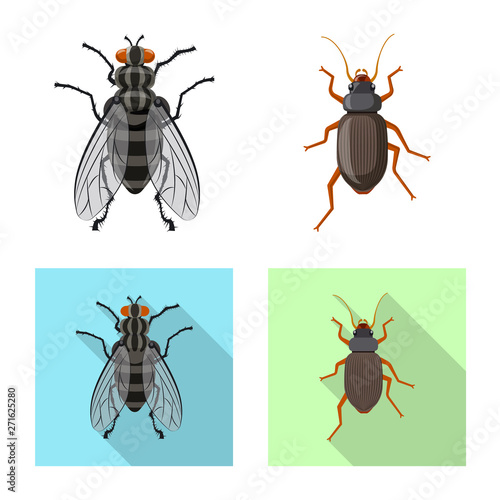 Vector illustration of insect and fly symbol. Set of insect and element stock vector illustration. © Svitlana