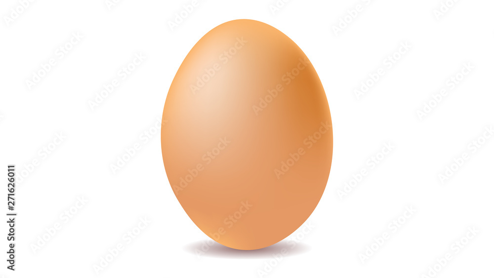 Egg isolated on white background vector illustration Egg isolated on white background vector illustration