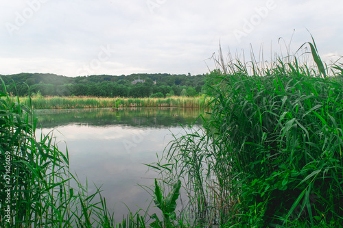 Dutch polder landscape in Ooij photo