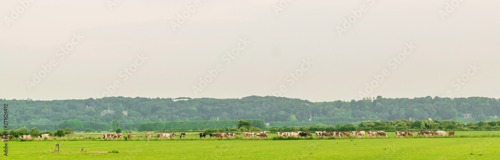 Dutch polder landscape in Gelderland