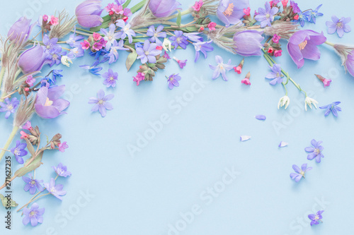 spring flowers on blue background © Maya Kruchancova