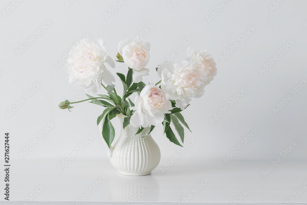 peonies flowers in vase on white background
