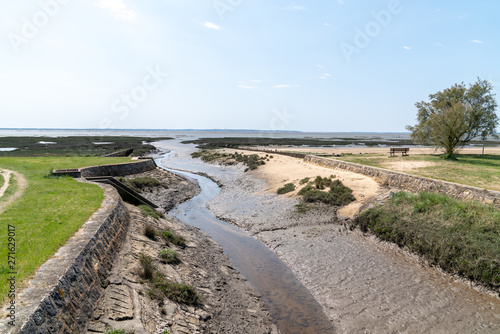 river go to atlantic ocean in Cassy Lanton in Bassin d Arcachon in France