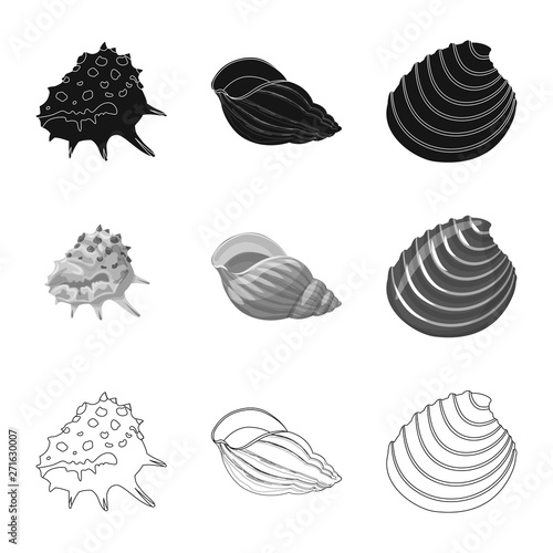 Vector design of animal and decoration logo. Collection of animal and ocean vector icon for stock.