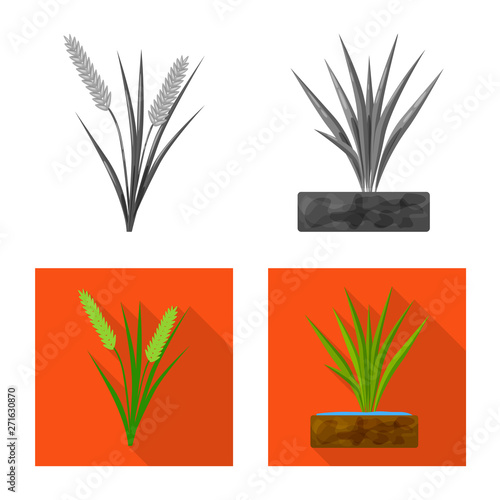 Isolated object of crop and ecological symbol. Set of crop and cooking vector icon for stock.