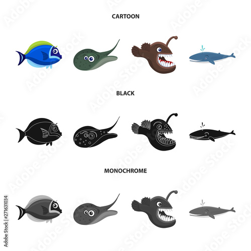 Isolated object of sea and animal symbol. Set of sea and marine stock vector illustration.