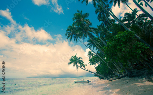 Tropical Island, Fiji Islands