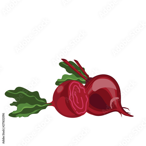 Red beet. Vegetables from the garden. Illustration.