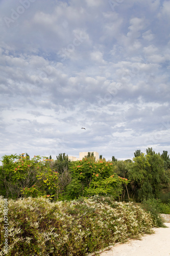 Crane flying above a hidden building among green plants
