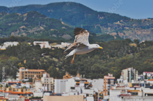Malaga, Spain 