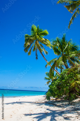 Tropical Island  Fiji Islands