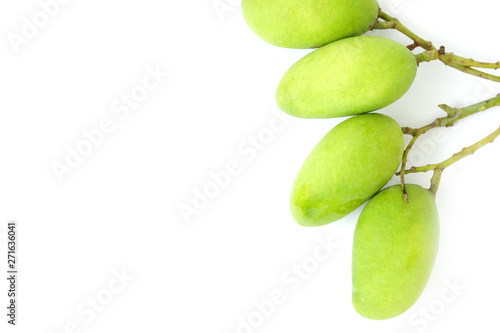 Top view Thai green mango bunch fruit, taste is very sour unique isolated on white background